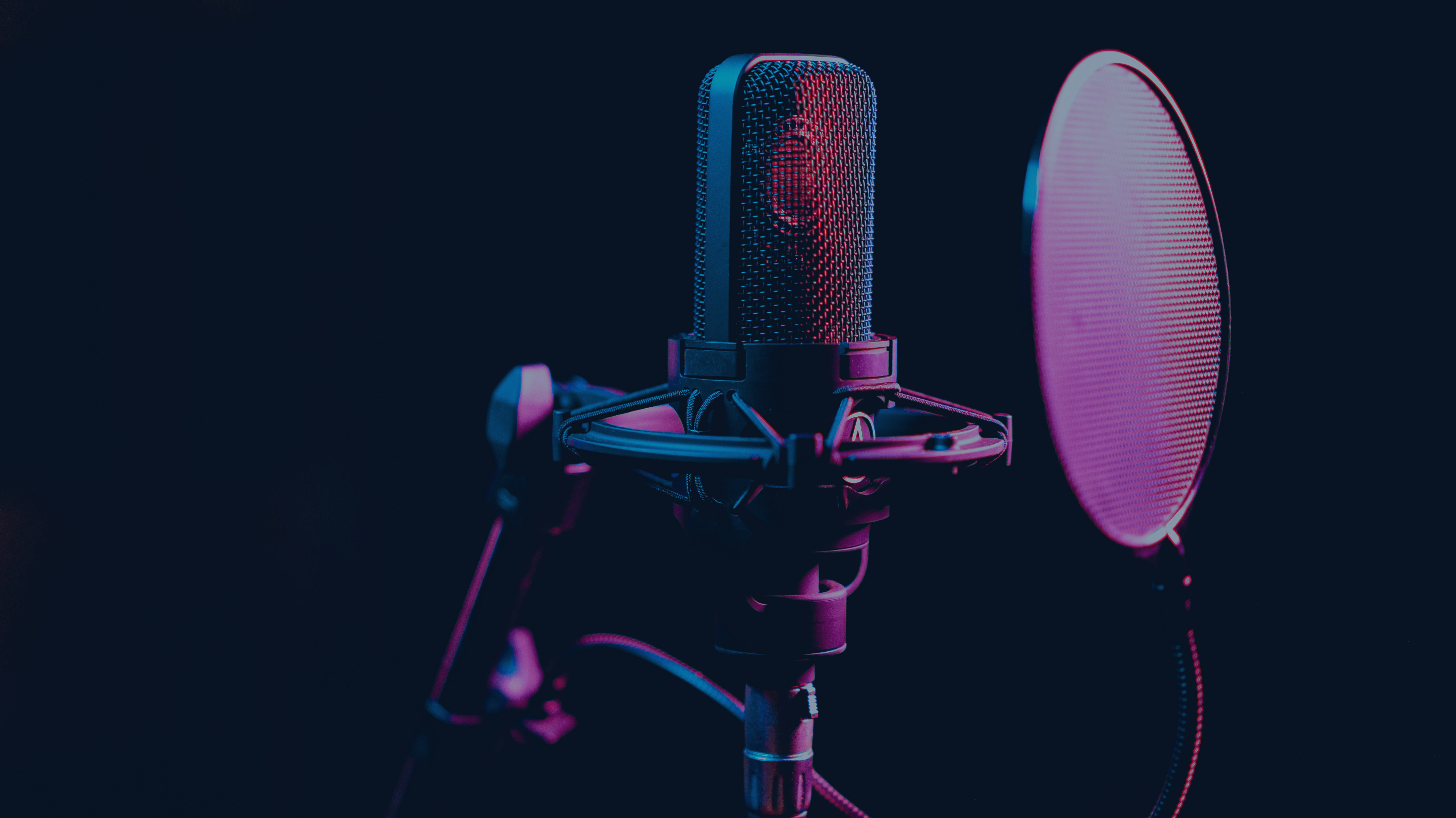 Black Microphone on a Stand